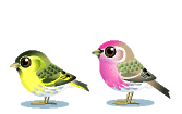 Hopping Birds