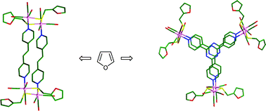 Graphical abstract: Perfect symmetrical cyclic aromatic trimer motif in tripodal molecule
