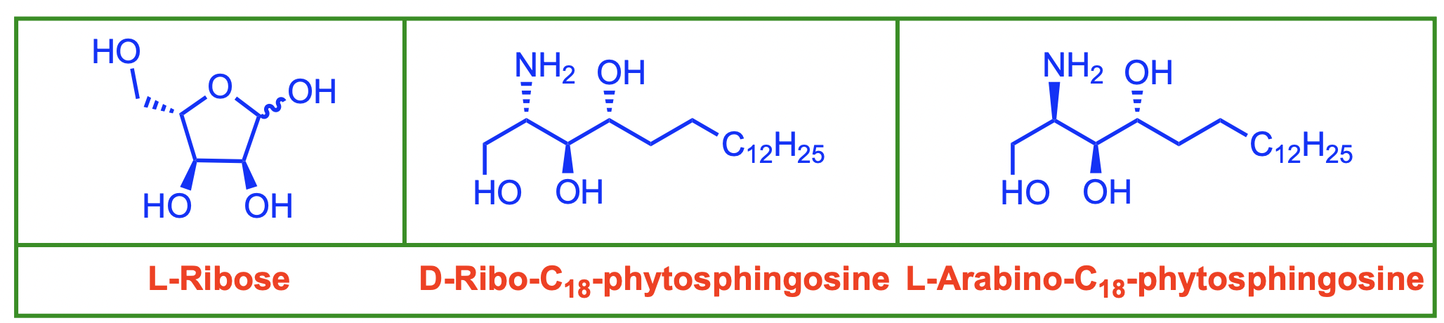 Synthesis of C-Spiro-Glycosides