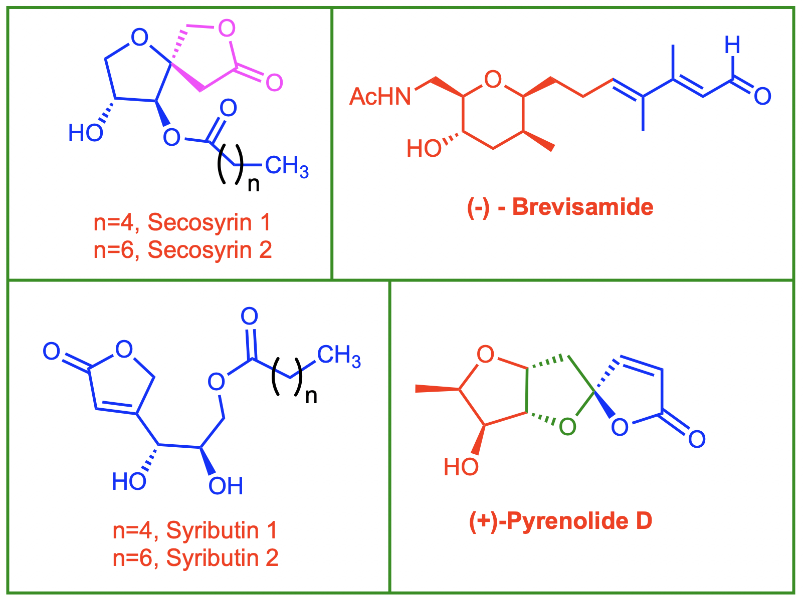 Synthesis of Sugar-Fused Bicycles