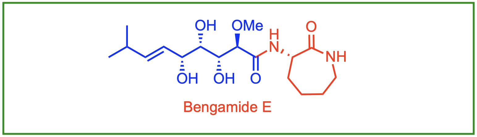 Marine Natural Products Synthesis
