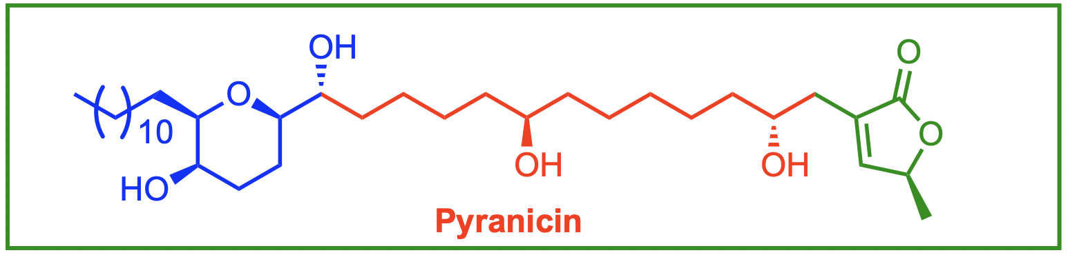 Imino-Sugar Synthesis
