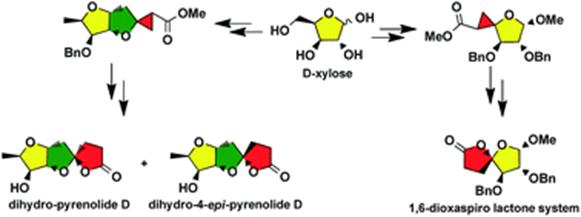 Image for Stereoselective synthesis of 1, 6-dioxaspirolactones from spiro-cyclopropanecarboxylated sugars: total synthesis of dihydro-pyrenolide D