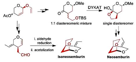 Image for The first stereoselective total synthesis of neosemburin and isoneosemburin