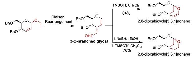Image for Stereoselective Construction of 2,8‐Dioxabicyclo[3.3.1]nonane/nonene Systems from 3‐C‐Branched Glycals