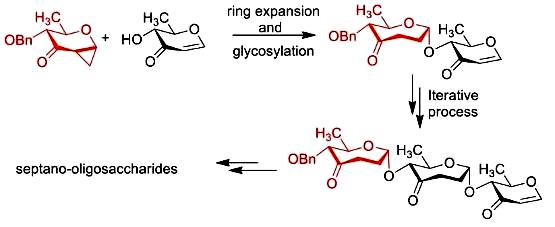 Image for A Ring Expansion–Glycosylation Strategy toward the Synthesis of Septano-oligosaccharides