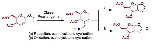 Image for Stereoselective Synthesis of cis‐Fused Perhydrofuro[2,3‐b]furan Derivatives from Sugar‐Derived Allyl Vinyl Ethers