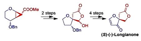 Image for First enantioselective total synthesis of (S)-(−)-longianone