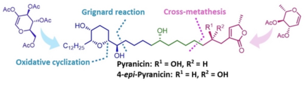 Image for Stereoselective Total Synthesis of Pyranicin and 4‐Epi‐Pyranicin from Carbohydrate Precursors