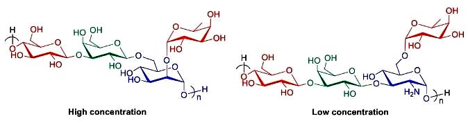 Image for Purification and Partial Elucidation of the Structure of an Antioxidant Carbohydrate Biopolymer from the Probiotic Bacterium Bacillus coagulans RK-02