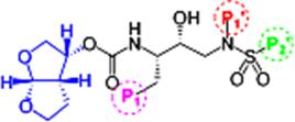 Image for Bis-tetrahydrofuran: a privileged ligand for darunavir and a new generation of HIV protease inhibitors that combat drug resistance