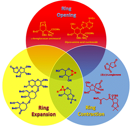 Image for Synthetic Applications of Carbohydrate‐derived Donor‐Acceptor Cyclopropanes