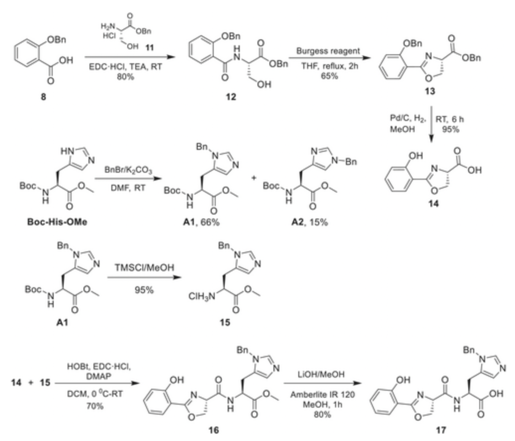 Image for Efforts toward the first total synthesis of a mixed‐ligand siderophore: Gobichelin‐A