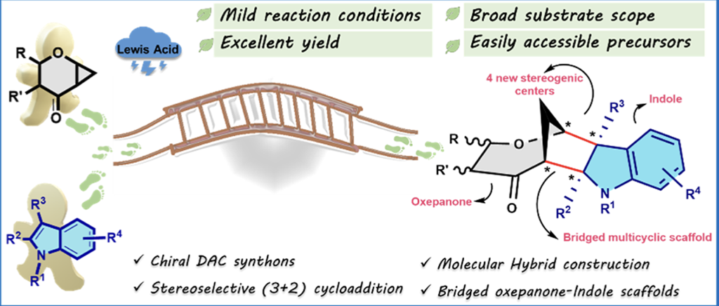 Image for A Ring Expansion─ Stereoselective Cycloaddition of Carbohydrate-Derived Donor–Acceptor Cyclopropanes: Synthesis of Bridged Oxepanone–Indole Hybrids