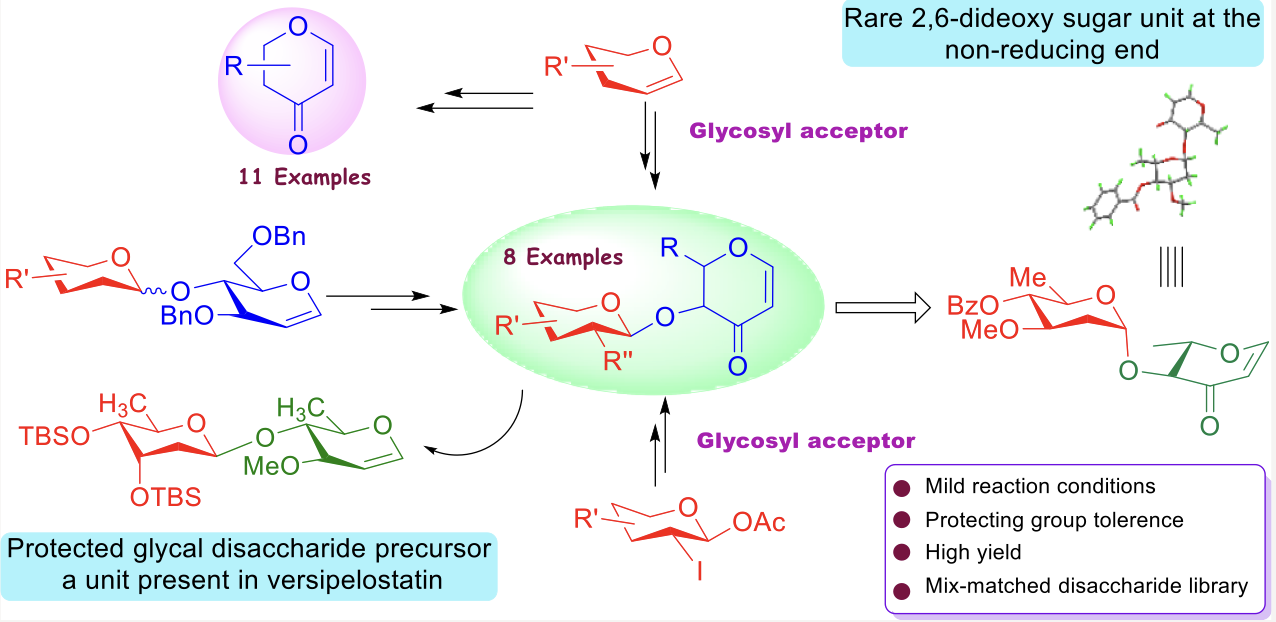 Image for Synthesis of Hexenuloses and a Library of Disaccharides Possessing 3-oxo-glycal Unit