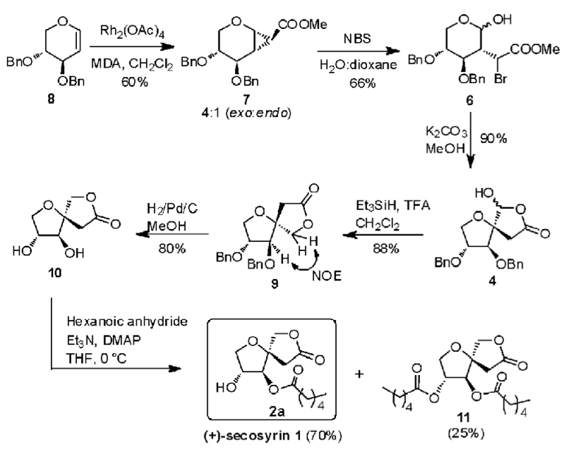 Image for A concise and efficient approach to the stereoselective total synthesis of (+)-secosyrin 1 and (+)-syributin 1