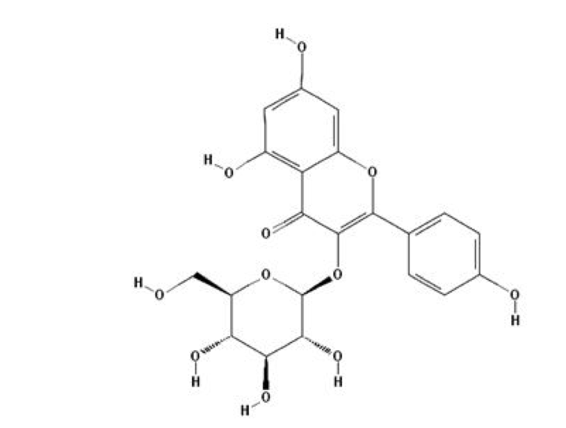Image for Kaempferol 3-glucoside from Azadirachta indica