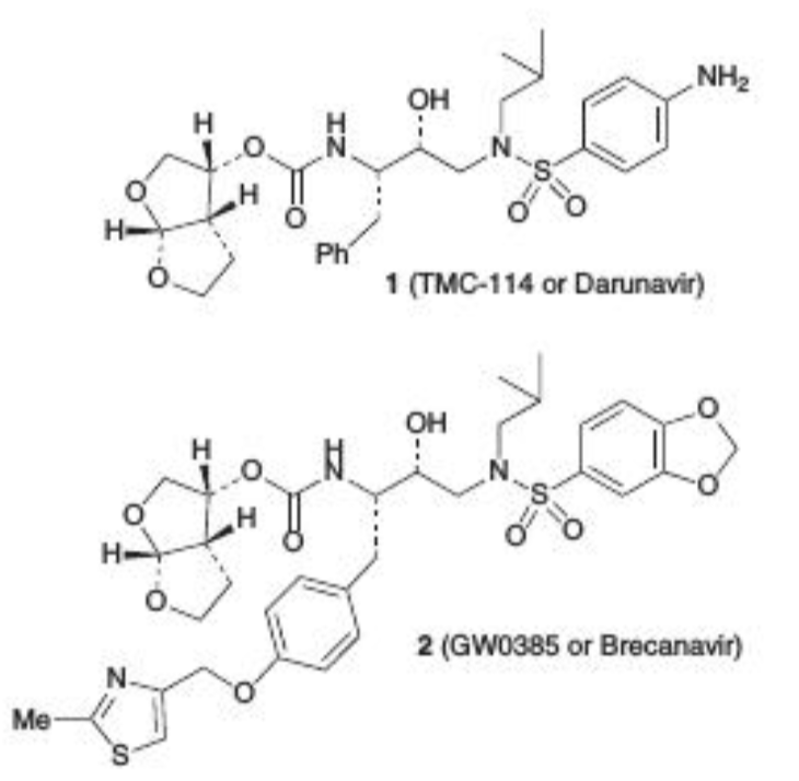 Image for A stereoselective anti-aldol route to (3R, 3aS, 6aR)-hexahydrofuro [2, 3-b] furan-3-ol: a key ligand for a new generation of HIV protease inhibitors