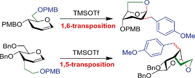 Image for Synthesis of Carbon‐Branched Sugars Involving an Unprecedented 1, 5‐or 1, 6‐Alkyl Transposition Reaction