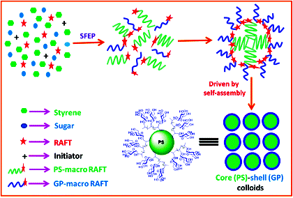 Image for RAFT mediated one-pot synthesis of glycopolymer particles with tunable core–shell morphology