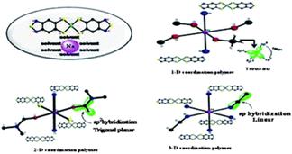 Graphical abstract: Dimensionality of coordination polymers decided by the type of hybridization of the central carbon atom of the solvent molecule that coordinates to an alkali metal cation: from discrete to 3D networks based on a gold(iii) bis(dithiolene) complex